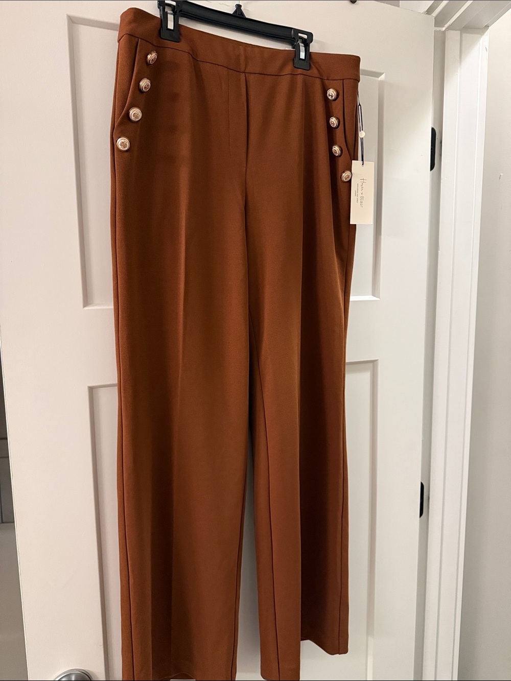 Wide-Leg High-Rise Pants with Side Buttons - Rust
